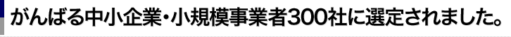 がんばる中小企業・小規模事業者300社に選定されました。