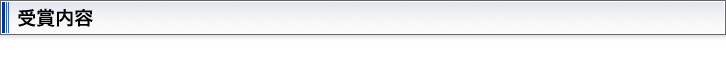 受賞内容